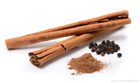 greek  unani herbal cinnamon