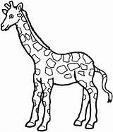 Giraffe Outline Animals Printable Clipart Land Girafe Coloring Simple Giraffes Pages Animal Cut Jpeg Kids sketch template