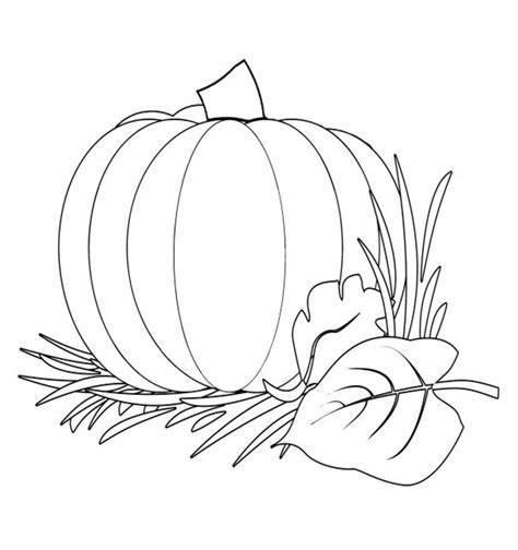 printable thanksgiving coloring pages  michelle collins hubpages