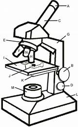 Microscope Coloring Clipartbest Clipart sketch template