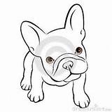 Bulldog Puppy Drawing Dog French Cute Frances Dibujo Drawings Illustration Coloring Easy Husky Puppies Draw Perros Cartoon Cachorro Vector Dibujos sketch template