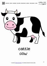 Cow Farm Flashcard Card Animal Printable Animals Cards English Word Coloring Pre Color sketch template