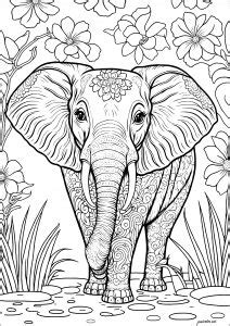 images  coloring book pages