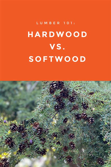 lumber 101 hardwood vs softwood lumber lumberstore ca