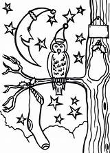 Christmas Coloring Owl Pages Eve Owls Coloringkidz Print Color sketch template