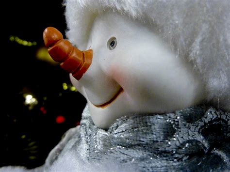 carrot nosed snowman  stock photo public domain pictures