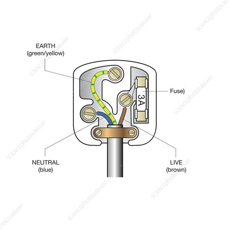 wiring diagram  pin plug wiring diagram