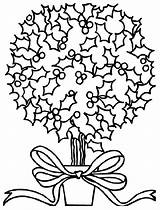Crayola Holly Colorat Desene Mistletoe Craciun Planse Natalizio Floare Bosco Natalizi Cia Motivos Ideias sketch template