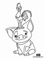Moana Baby Coloring Pages Drawing Pua Disney Printables Printable Drawings Template Step Print Getdrawings Cute Colouring Pig Sheet Adult Cartoon sketch template