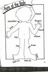 Body Parts Preschool Head Activities Shoulders Coloring Toes Pages Knees English Kids Kindergarten Worksheet Worksheets Jigsaw Puzzle Solve Primary School sketch template