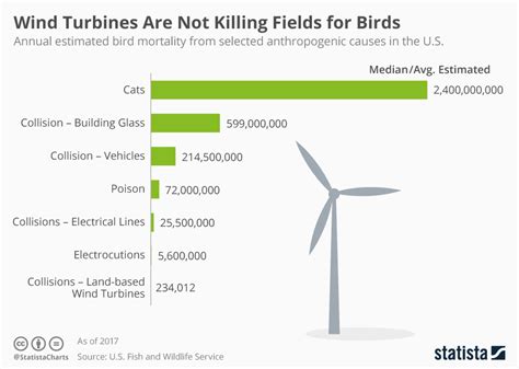 turbine bird deaths yearly
