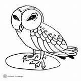Owl Eule Sowa Kolorowanki Owls Eulen Hantu Burung Mewarnai Sowy Ausmalbilder Ptaki Dzieci Weise Ausmalbild Tegninger  Wydrukowania Kategorien sketch template