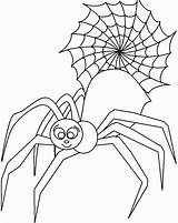 Spinne Insekt Charlottes Malvorlagen Spiders Coloringfolder sketch template