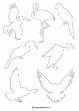 Uccelli Sagome Ritagliare Stampare Pianetabambini sketch template