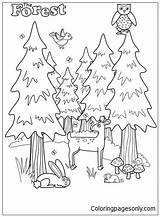 Pages Forest Coloring Kids Color sketch template