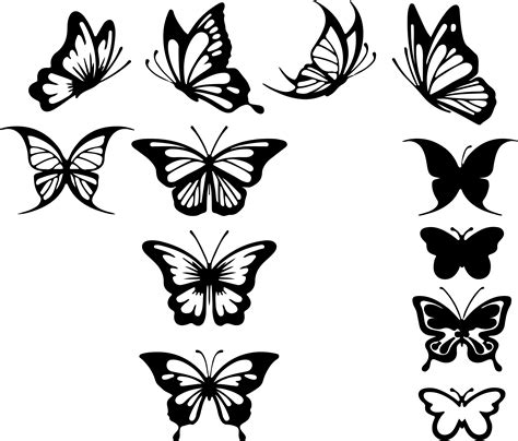 butterfly drawing outline carinewbi