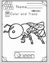 Ant Toddlers Cycle Life Preschool sketch template