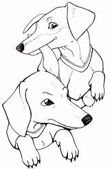 Dachshund Coloring Pages Puppy Printable Drawing Stencil Aaron Aphmau Template Dog Long Color Silhouette Getcolorings Getdrawings Haired Pencil Clube sketch template
