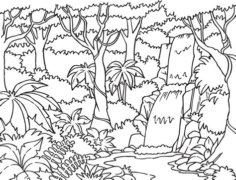 rainforest coloring pages  print  getdrawings
