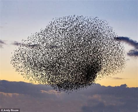 boeing demonstrates drones  perform  swarm  freedoms phoenix
