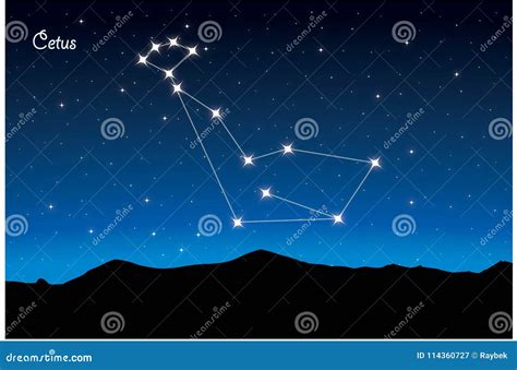 constellation  cetus stock illustration illustration  austrole