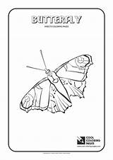 Coloring Pages Butterfly Insects Cool Teenagers Animal Print Animals Getcolorings sketch template