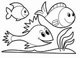 Coloring Fish Pages Saltwater Getcolorings sketch template