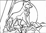 Wolf Coloring Pages Howling Wolves Moon Baby Print Grey Printable Color Link Minecraft Animal Cute Getcolorings Getdrawings Anime Forget Supplies sketch template