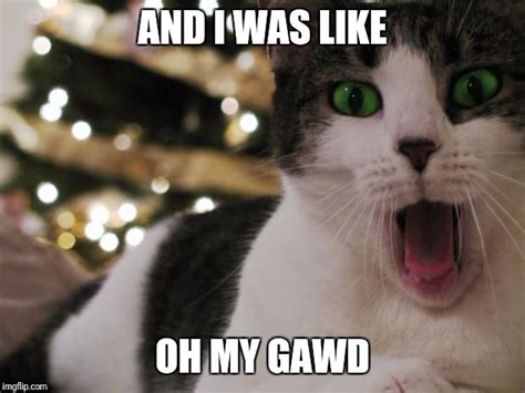 image tagged in surprised cat imgflip