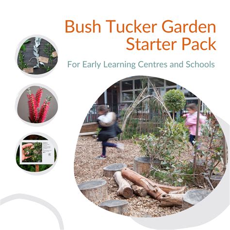 bush tucker garden starter pack  elc  schools edible eden