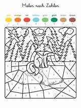 Zahlen Nach Fuchs Wald Ausmalen Kinder Ausmalbilder Malvorlage Kostenlose Malvorlagen Tiere Weihnachten Familie Nummern Ganze Ihr Kostenlosen Das Motiv Ausgemalt sketch template