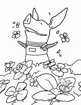 Coloring Pig Pages Alpha Getcolorings Olivia sketch template