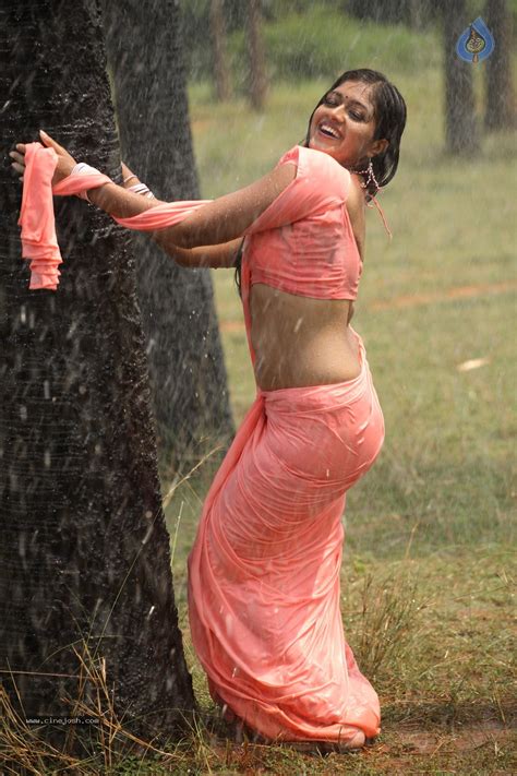 Meghana Raj Navel Show Wet In Saree South Wood Gallery