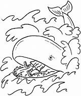 Whale Coloring Pages Printable Kids sketch template