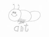 Minibeasts Ant Colouring sketch template
