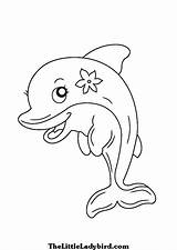 Dolphin Coloring Pages Drawing Cute Realistic Cartoon Dolphins Easy Step Line Adults Color Bottlenose Getdrawings Beginners Printable Getcolorings Decoration Amazing sketch template