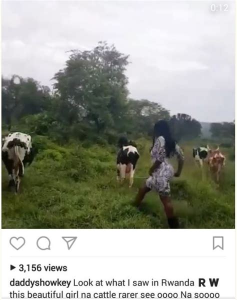 Curvy Lady With Big Bum Spotted Tending To Cows In Rwanda Photos Video