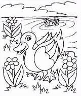 Vogels Eend sketch template