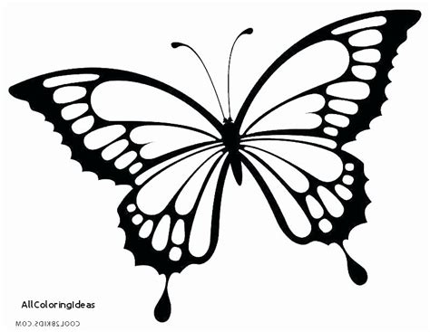 pretty butterfly coloring pages luxury butterfly drawing ideas
