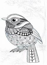 Zentangle Kwok Efie Oiseau Vogels Mandalas Flycatcher Goes Kleurplaten Icolor Pigeon Kleurplaat Hummingbird Uitprinten Colibri Zentangles Graphique Odwiedź Gå Doodles sketch template
