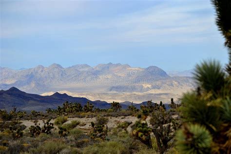 southern nevada desert stock image image  nevada desert