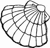 Clam Shells Colouring Coloring Pages Cartoon Clipart Pearl Results Gif Clip Clipartbest Cliparts sketch template