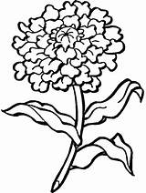 Coloring Pages Flowers Flower6 Book Kids Easily Print sketch template