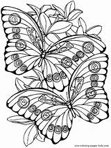 Coloring Pages Adult Printable Adults Intermediate Flower Color Butterfly Animal Sheets Detailed Kids Getcolorings Cool Getdrawings Books Butterflies Print Flowers sketch template
