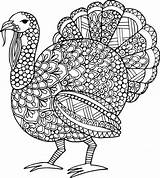 Coloring Pages Adults Turkey Shirleytwofeathers sketch template