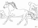 Horse Coloring Morgan Pages Getcolorings sketch template