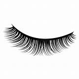 Lashes sketch template