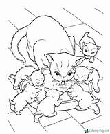 Coloring Cat Pages Printable Cats sketch template