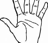 Hand Palm Drawing Clip Template Vector Getdrawings Hands Palms sketch template
