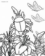 Coloring Pages Bug Cute Bugs Garden Insect Printable Realistic Kids Insects Color Cool2bkids Getcolorings Getdrawings Print Results sketch template